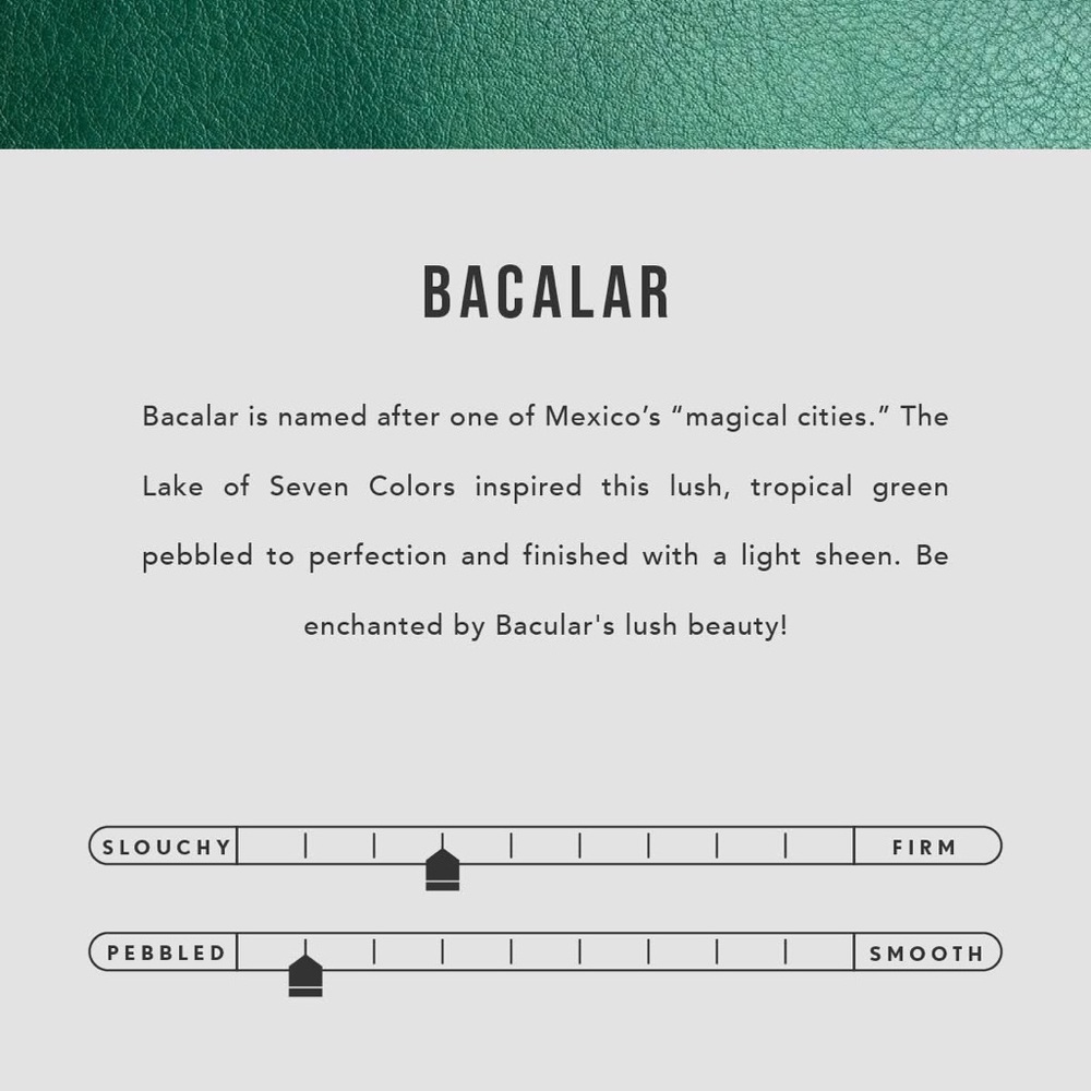Portland Leather Bacalar Bundle 💚🟢 - Picture 12 of 12